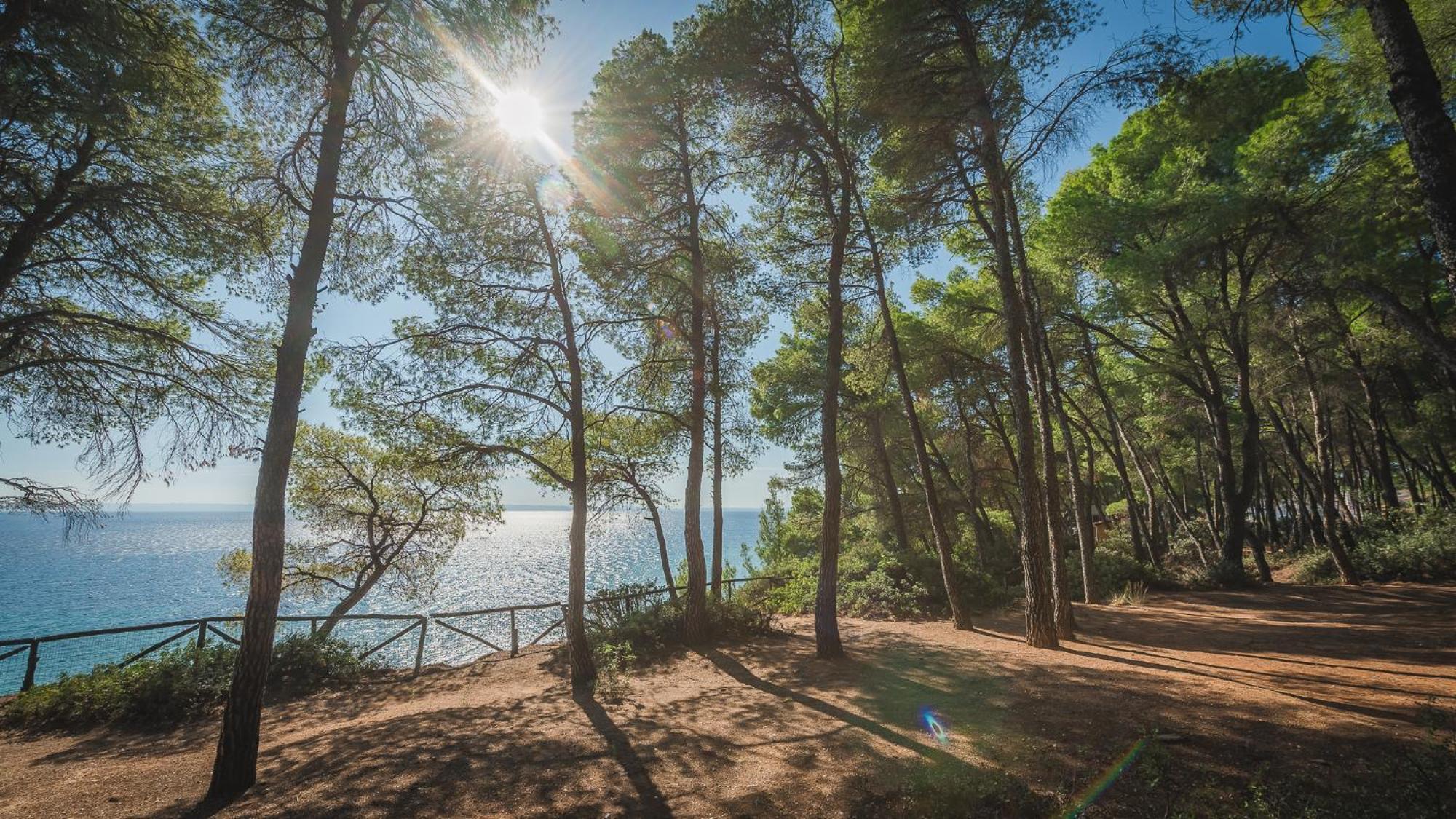 Squirrel Beach Front Villa, Metamorfosi Екстер'єр фото